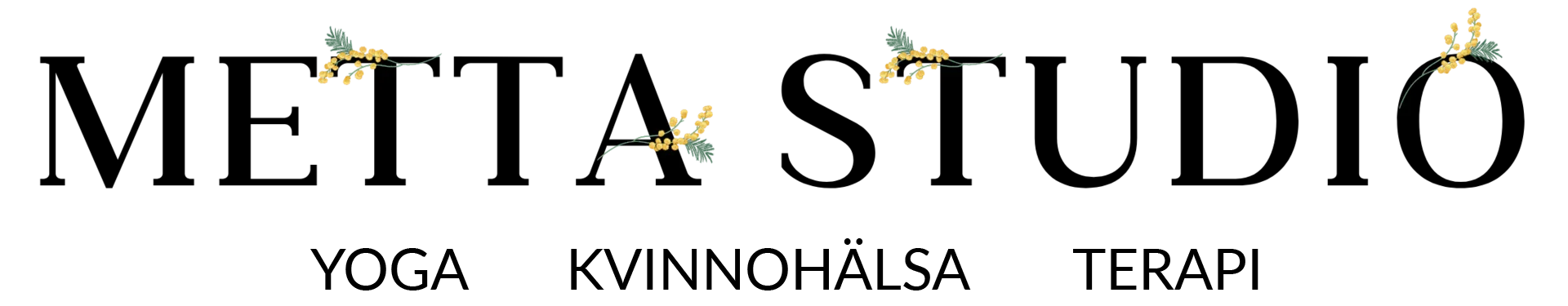 Insikten Metta Studio